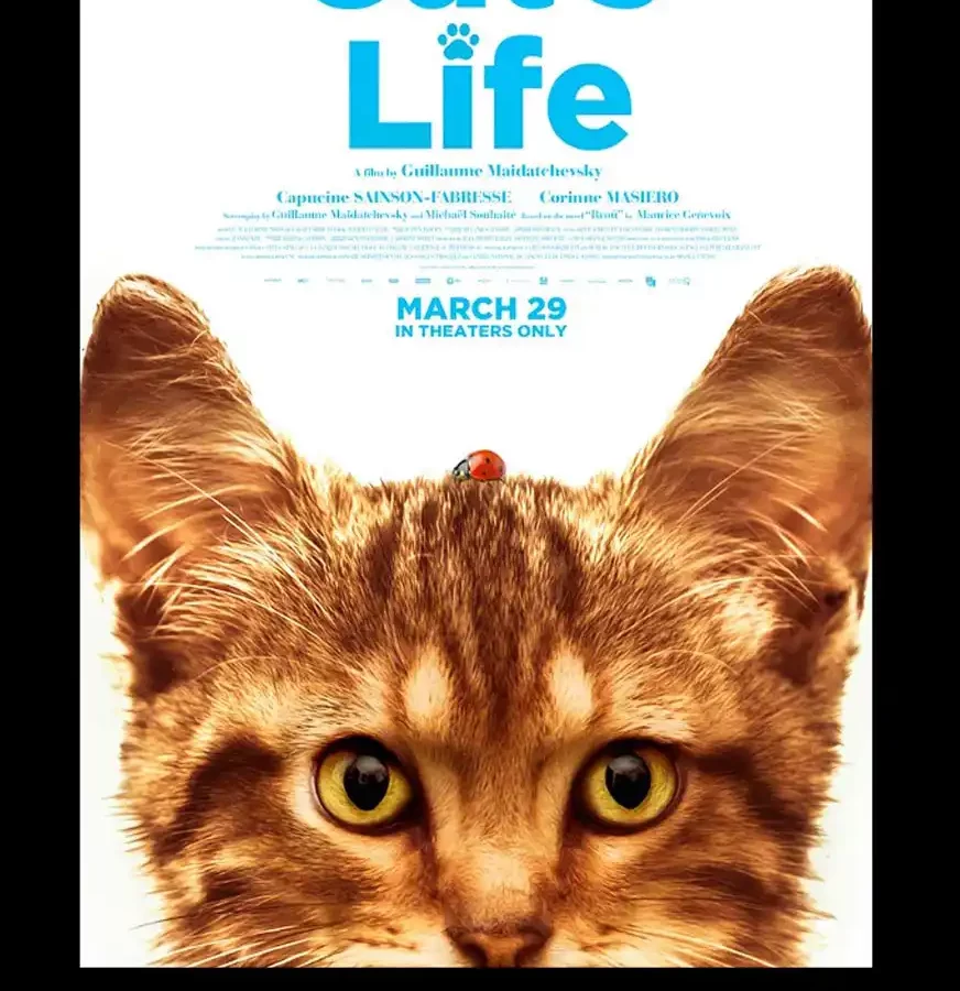 A Cat's Life Soundtrack (2024)