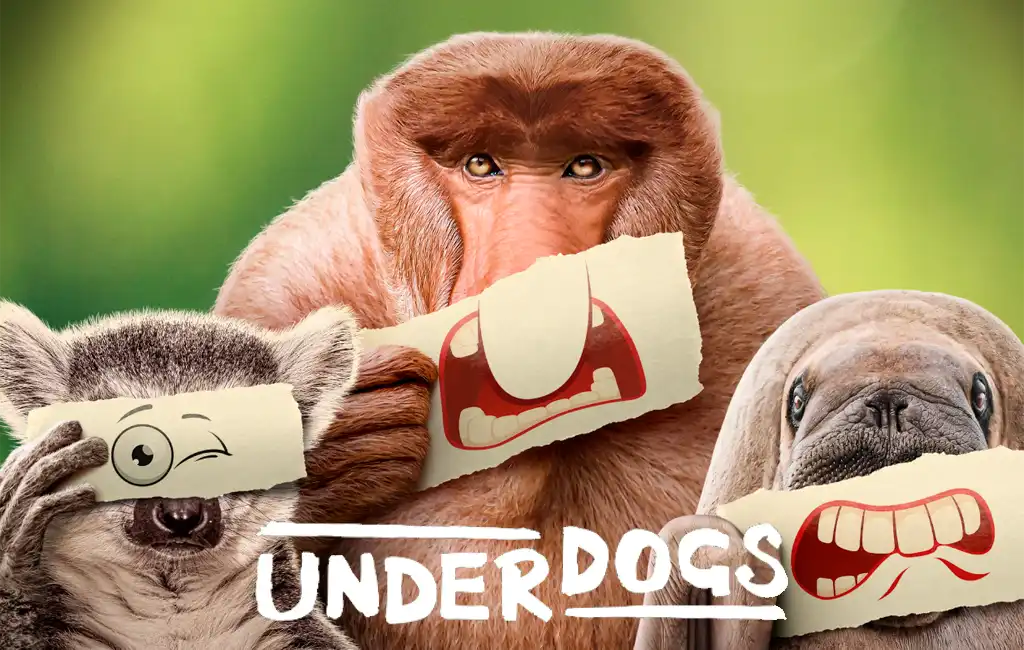 ‘Underdogs’ Soundtrack: All the Songs Played in the National Geographic Serie